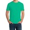Gildan Men's Softstyle Blank Tee, Modern Classic Fit for Custom Printing & DIY Projects, Kelly Green